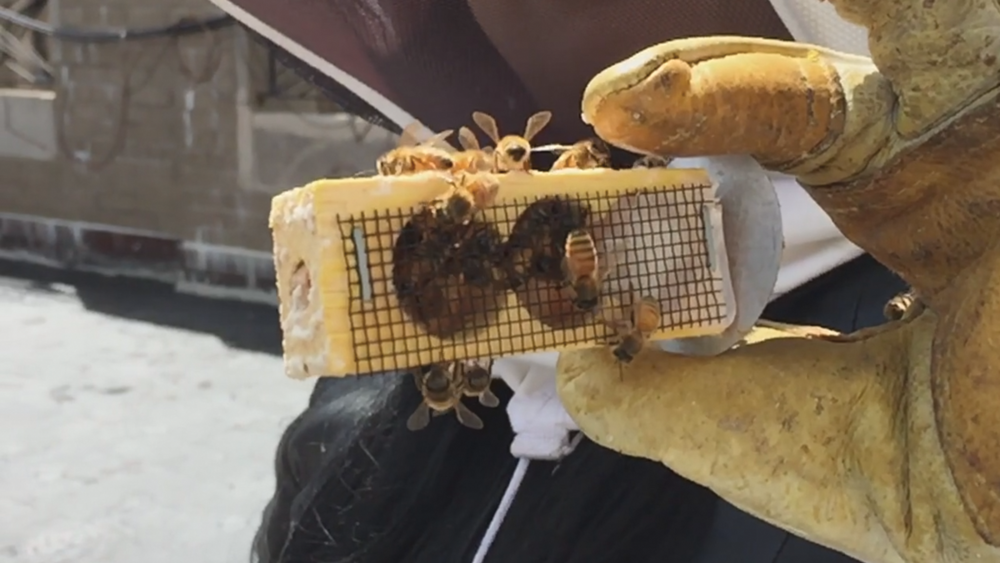 Бюджетное оборудование